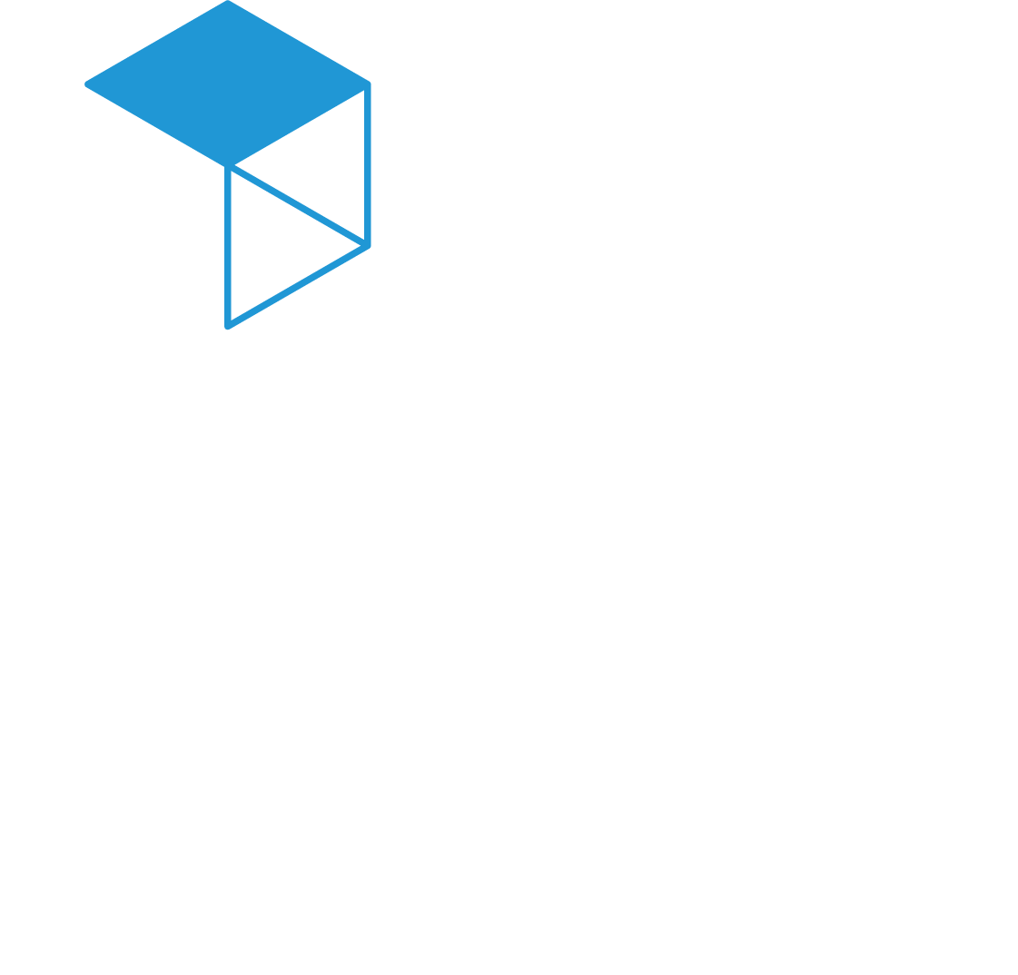 The Behavioural Insights Team