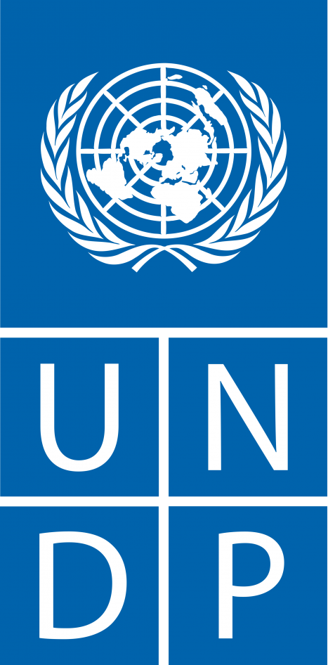 United Nations Development Programme