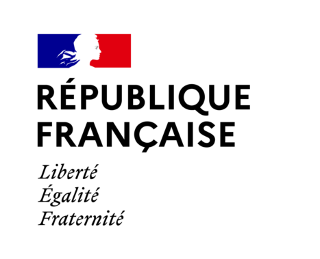 Gouvernement Français