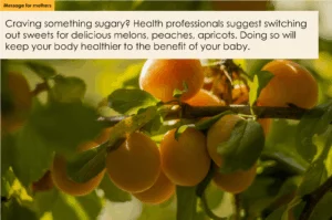 A close-up photo shows ripe, golden-yellow apricots hanging from a branch with green leaves, bathed in sunlight. Text at the top advises pregnant mothers craving sugary foods to choose healthier options like melons, peaches, and apricots for their well-being and the baby's health. The image promotes healthy eating during pregnancy.